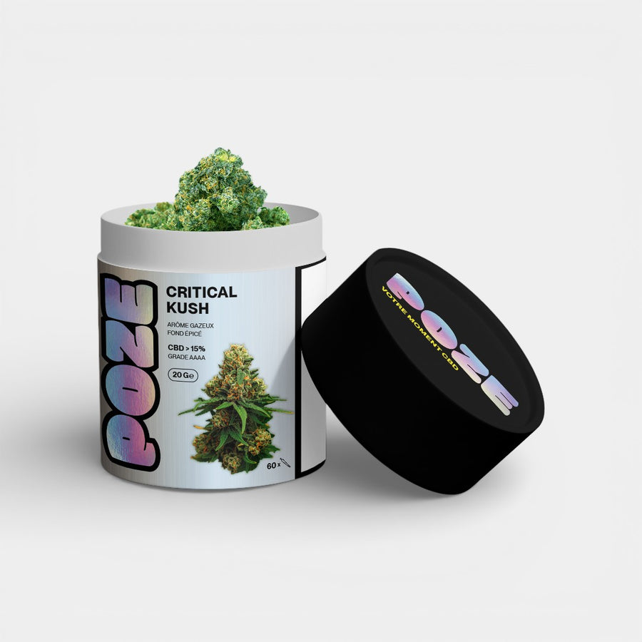 POZE Jumbo - Critical Kush (20g)
