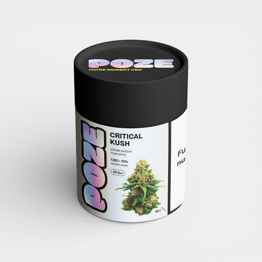 POZE Jumbo - Critical Kush (20g)